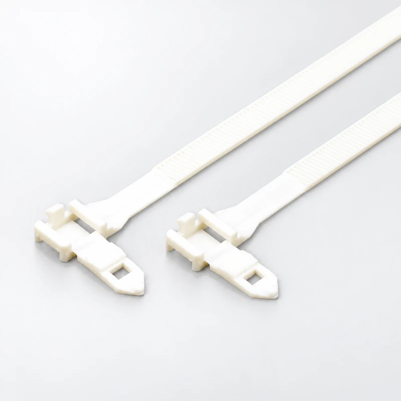 HSS-BCT Buckle Cable Ties