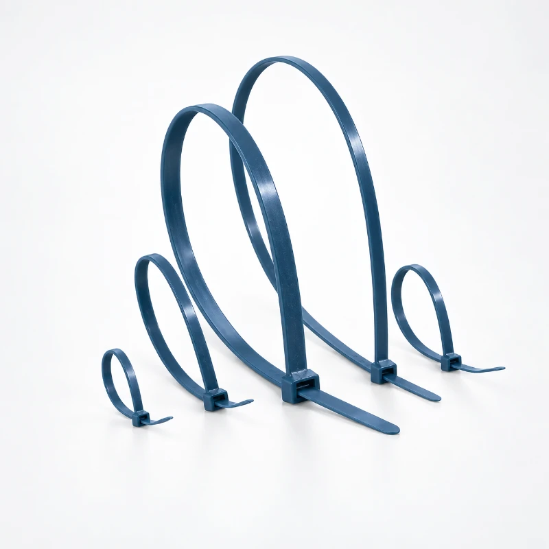 MCT/MCTS Detectable Cable Ties