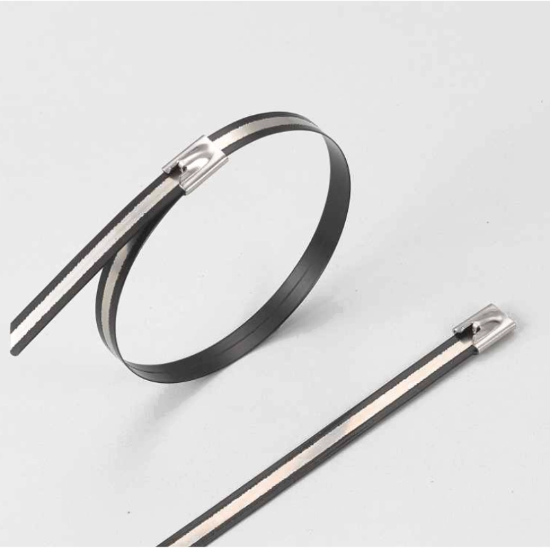 BZNP Nylon 11 Coated Stainless Steel Cable Ties