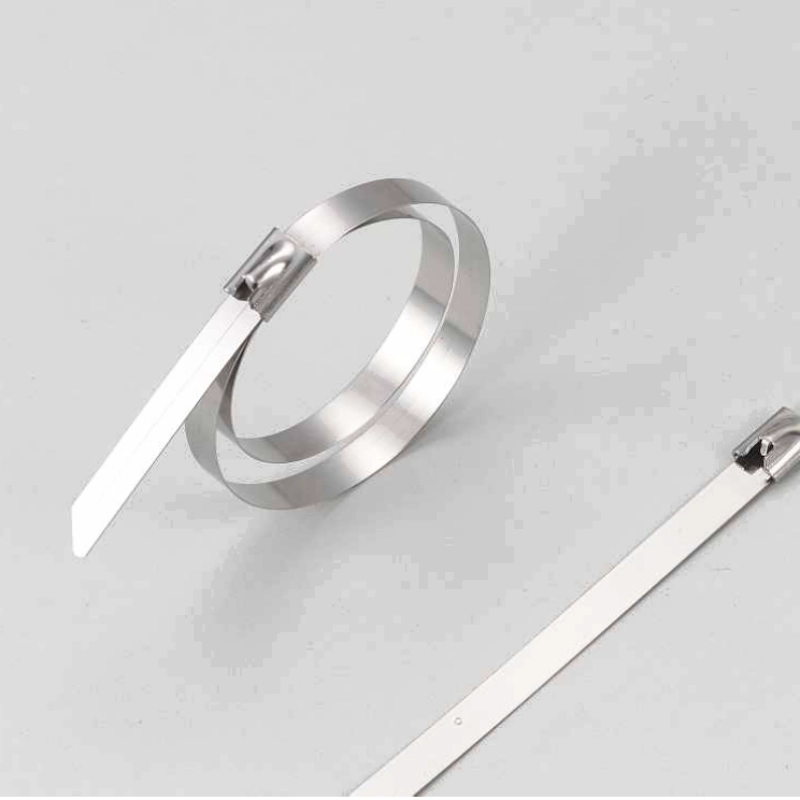 BZQ Double-Wrap Ball-Lock Stainless Steel Cable Ties