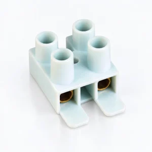 YC022 2 Pole Brass Ballast Connectors product image